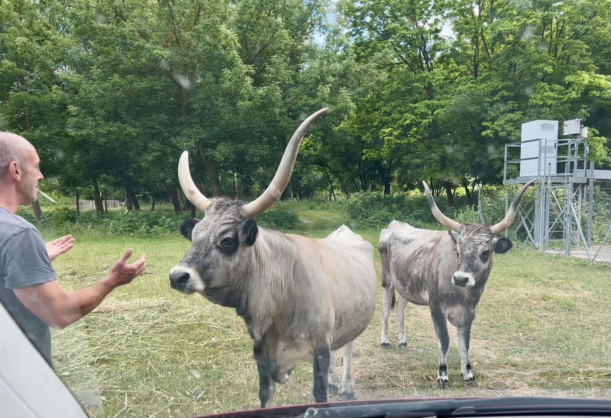 Lode Ski Lokomotívy počas splavu
