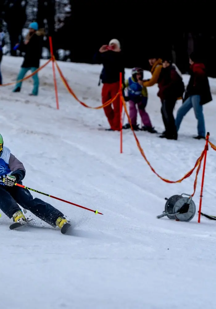 Alpské disciplíny – technická ilustrácia Ski Loko